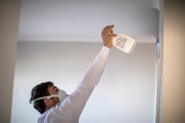 Best Crawl Space Mold Removal  in Nanticoke, PA