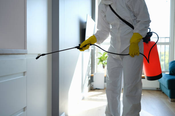 Best Home Mold Removal  in Nanticoke, PA